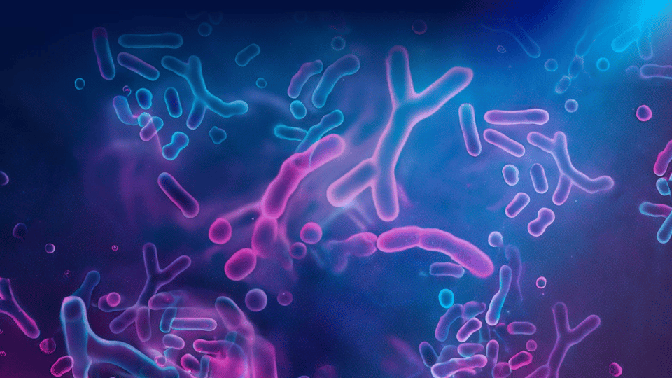 3rd Novel Ingredients for Infant Formula & Nutrition Summit background